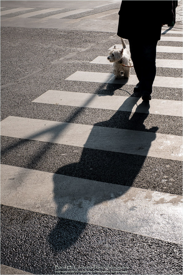 ZAP-216-055-280-Paris.jpg