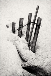 Prints - Black & White, Sepia