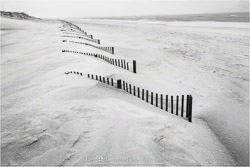 Prints - Black & White, Sepia Prints - Black & White, Sepia