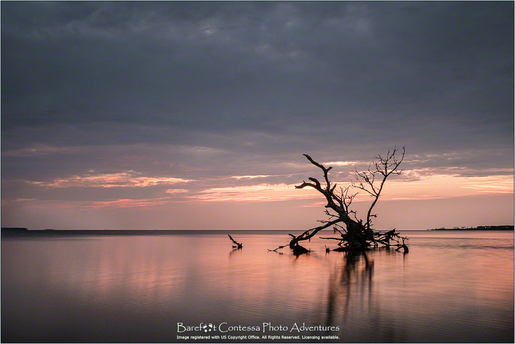 ZAP-221-081-016-OBX.jpg