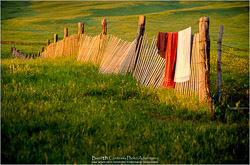 Prints - Landscapes