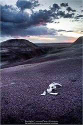 Prints - Landscapes