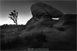 Prints - Landscapes