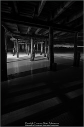 Archival Prints