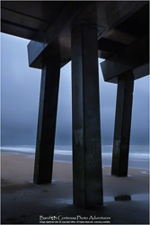 Prints - Seascapes & Coastal