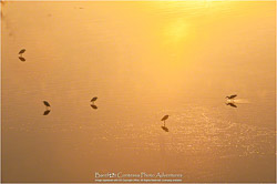Prints - Seascapes & Coastal Prints - Seascapes & Coastal