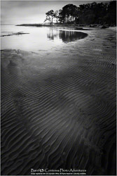 Prints - Seascapes & Coastal