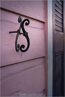 New Orleans:  Through the Eyes of 