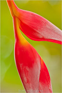 Tropical Impressions from Belize