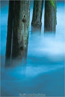 Yin & Yang of the Outer Banks
