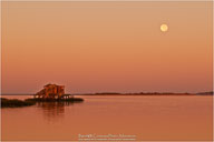 Yin & Yang of the Outer Banks