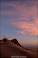 Yin & Yang of the Outer Banks