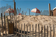 Yin & Yang of the Outer Banks