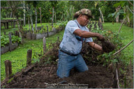 Belize, Land of the Maya