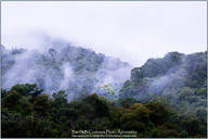 Belize, Land of the Maya