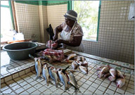 Belize, Land of the Maya