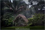Belize, Land of the Maya