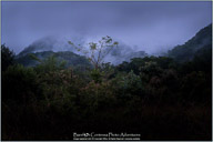 Belize, Land of the Maya