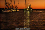 Many Faces of Charleston