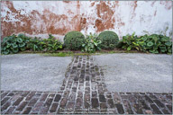 Many Faces of Charleston