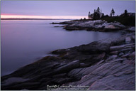 Summertime on the Maine Coast