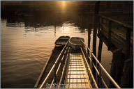 Summertime on the Maine Coast