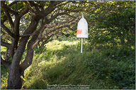 Monhegan Island, Artists' Paradise