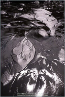 Along the Oregon Coast