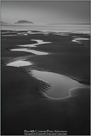 Along the Oregon Coast
