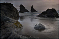 Along the Oregon Coast