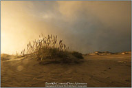 Autumn on the Outer Banks