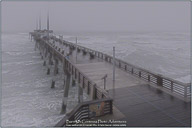 Springtime on the Outer Banks