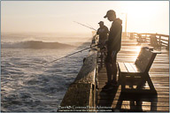 Springtime on the Outer Banks