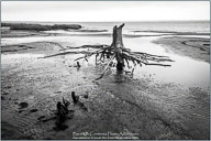 Winter on the Outer Banks