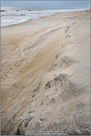Winter on the Outer Banks Winter on the Outer Banks