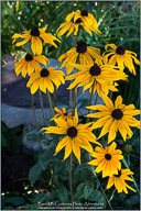 Palouse, Echoes of Tuscany