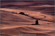 Palouse, Echoes of Tuscany