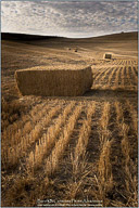 Palouse, Echoes of Tuscany
