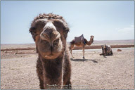 Magic of Morocco Magic of Morocco