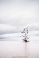 Fine Art Photographs in Permanent Collections