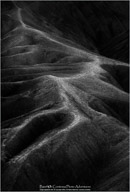 2012 2012